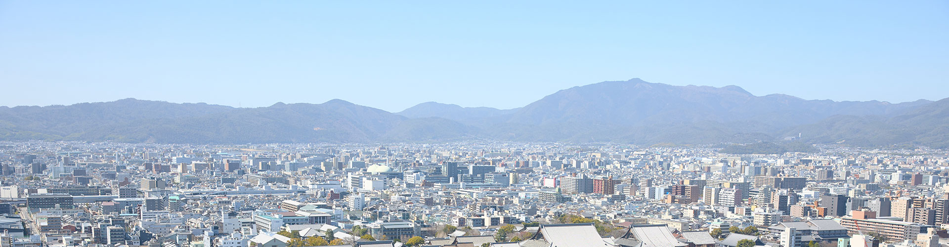 さきぞう不動産管理の事業内容